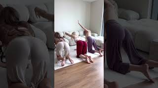 Gentle Back Yoga Stretching with LilliesYoga SageSplits [upl. by Graniah]