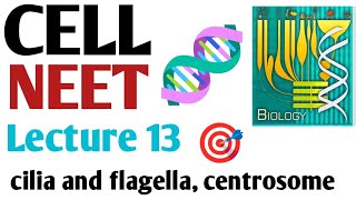 Cell  cilia and flagella centrosome Lecture 13 NCERT 11 BIOLOGY in a easy way [upl. by Will849]