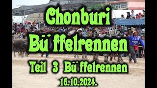 Büffelrennen 2024  Teil 3 Büffelrennen Chonburi [upl. by Yrram]