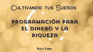 Programación Mental para el Dinero y la Riqueza [upl. by Rednaeel365]