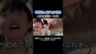 【初めてお馬さんに触れた日】もくもくファーム 4歳年中さん shorts 発達障害 DCD ADHD 発達性協調運動障害 動物園 三重県 伊賀市 もくもくファーム 発達ゆっくりさん [upl. by Nwahsan610]