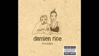 Damien Rice  Delicate [upl. by Nnylhsa]