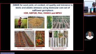 Guest Lecture  Status of MarkerAssisted Selection in Niche Oilseeds Crops of India [upl. by Ytissac]