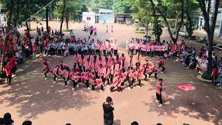 GIẢI NHẤT FLASHMOB 2011  12C05  THPT Võ Trường Toản Q12 [upl. by Ytinav693]