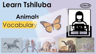 Tshiluba Lesson 40 AnimalsDog Lion Butterfly [upl. by Llerrac]