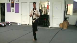 Tae Kwon Do Kick Jumping Drills [upl. by Valente]