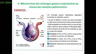 L’echange de gaz respiratoire [upl. by Llebiram]