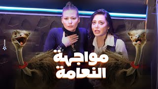 رامز جلال  مرام علي وباميلا الكيك فى مواجهة نعام رامز جاب من الاخر شوف اللى حصلهم [upl. by Yrnehnhoj]