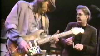 STEVIE RAY VAUGHAN SRV BB KING amp ALBERT KINGThe Sky Is Crying [upl. by Pasol401]