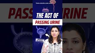 Micturition process of urine in Hindi  NEET Concept neet2024 neet2025 neetbiology [upl. by Emse]