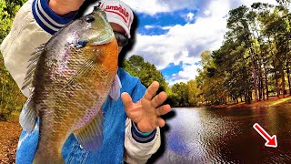 THIS Super Tiny Jig amp Bobber Setup Is A Bluegill Catching Machine [upl. by Dosi]