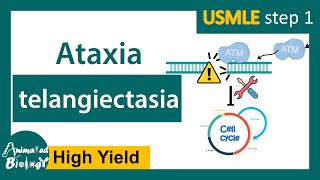 Ataxia telangiectasia  causes symptoms and pathology of Ataxia telangiectasia  USMLE Step 1 [upl. by Jezabelle]