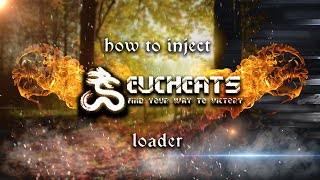 HOW TO INJECT EU CHEATS LOADER  CSGO [upl. by Enilhtak]