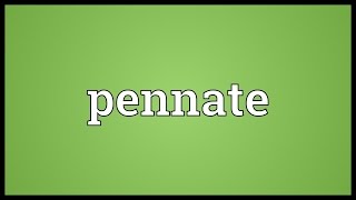 Pennate Meaning [upl. by Adnilav]