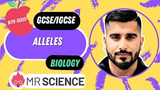 Alleles  Inheritance  Bitesized  GCSE  IGCSE Biology  Mr Science in 8K [upl. by Assillam]