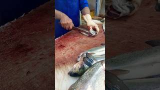 The best way to fillet trout for grilling [upl. by Kenzie]