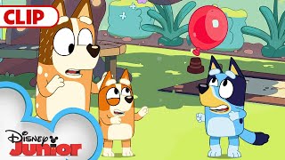 Bluey Season 1 Episode 3 quotKeepy Uppyquot Episode Clip  disneyjr​  BlueyOfficialChannel​ [upl. by Idnahc]