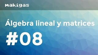 Álgebra lineal y matrices – 8 Determinantes [upl. by Asimaj783]