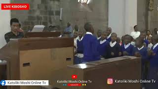 LIVE SALA ZA MAPADRE MWANZO WA MWEZI KUABUDU NA ADHIMISHO LA MISA TAKATIFU [upl. by Regina]