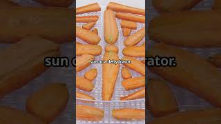 DIY Turmeric Powder Health Benefits amp E 2024 09 14 [upl. by Morvin]