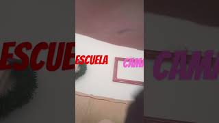 Escuela vs dormie [upl. by Arrec]