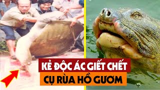 SỐC Lộ Diện Kẻ Xuống Tay Lấy Đi Mạng Sống Của Cụ Rùa Hồ Gươm  Người Dân Việt Nam Nghẹn Ngào [upl. by Mavilia]