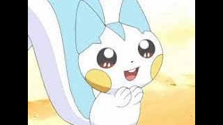 Pachirisu being cute for 1 minute straight [upl. by Noynek274]