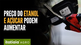 Entenda como incêndios no Brasil podem afetar o preço do etanol e do açúcar [upl. by Hsirahc]