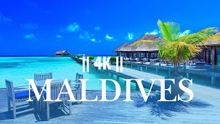 🛑 Maldives Like Never Before 🛑 4K 🛑 Discover Paradise on Earth 🛑Maldives [upl. by Mylander]