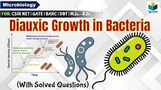 Diauxic growth curve of Ecoli  Catabolite repression  CSIR NET  GATE  MSc  BSc [upl. by Volin19]