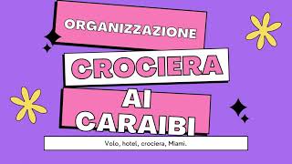 Crociera ai caraibi organizzazione volo hotel Miami [upl. by Raddi]