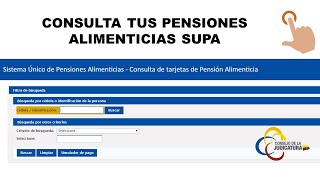 Consultas Pensiones Alimenticias [upl. by Colis]