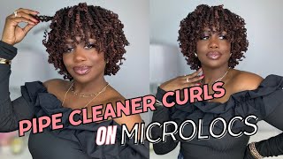 Pipe Cleaner Curls on DIY Microlocs  4 Year Locaversary  Kendra Kenshay I [upl. by Samira]