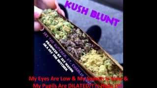 Jay The Butcher  quotKush Bluntquot feat Charlie Kane Promo Video [upl. by Nonaihr]