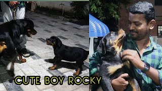 RAMBO’S NEW FRIEND  CUTE BOY😘  TAMIL VLOGS [upl. by Heisser806]