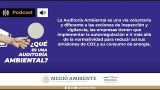 ¿Qué es una Auditoría Ambiental  PROFEPA [upl. by Eiramoj]