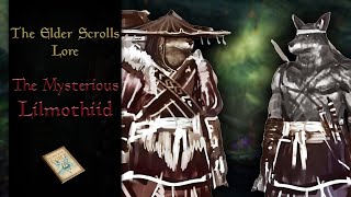 The Forgotten Fox Men of Black Marsh the Lilmothiit  The Elder Scrolls Lore [upl. by Cristiano889]