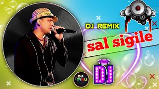 SAL SIGILE ASSAMESE DJ REMIX SONG  Assamese DJ SONG  Zubeen Garg New Assamese DJ REMIX [upl. by Adnihc]