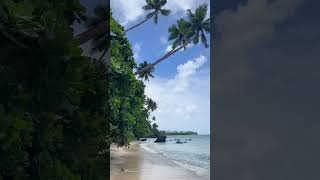 Taveuni ein Paradies auf Erden 🪸🇫🇯 backpacking travelling oceania fiji [upl. by Rahr]