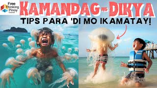 BOX JELLYFISH Ang pinaka makamandag na hayop sa dagat ng Pinas [upl. by Seaman]