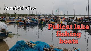 Pulicat lake fishing boats fishing pulicatlake viral india [upl. by Worra]