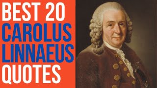 Best 20 Carolus Linnaeus Quotes  The Swedish Botanist Physician and Zoologist  DailyQuotes [upl. by Olive]