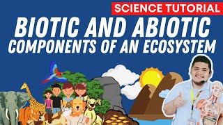 BIOTIC AND ABIOTIC COMPONENTS OF AN ECOSYSTEM  SCIENCE 7 QUARTER 2 [upl. by Reklaw]