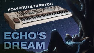 Echos Dream Sound on the PolyBrute 12 Synthesizer [upl. by Llerref]