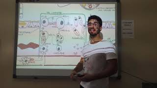 Asma Epidemiologia patologia sintomas espirometria e tratamento [upl. by Eelyme]