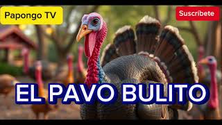 El Pavo Pulito Canciones infantiles de Papongo lagranjadepapongotv papongotv [upl. by Eislel206]