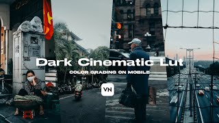 Dark Cinematic LUT for VN Premiere Pro DaVinci Resolve  Moody amp Professional Look [upl. by Normandy]