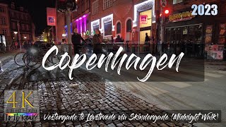 Copenhagen Denmark  Nightlife  Vestergade  Skindergade  City Tour  4K  Winter  2023 [upl. by Notsreik]