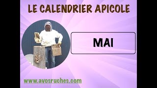 Calendrier Apicole  MAI [upl. by Karina]