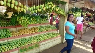 Mango Festival  Final Day  Sweetest Mangos in the World  Guimaras Island Philippines [upl. by Chrisoula814]